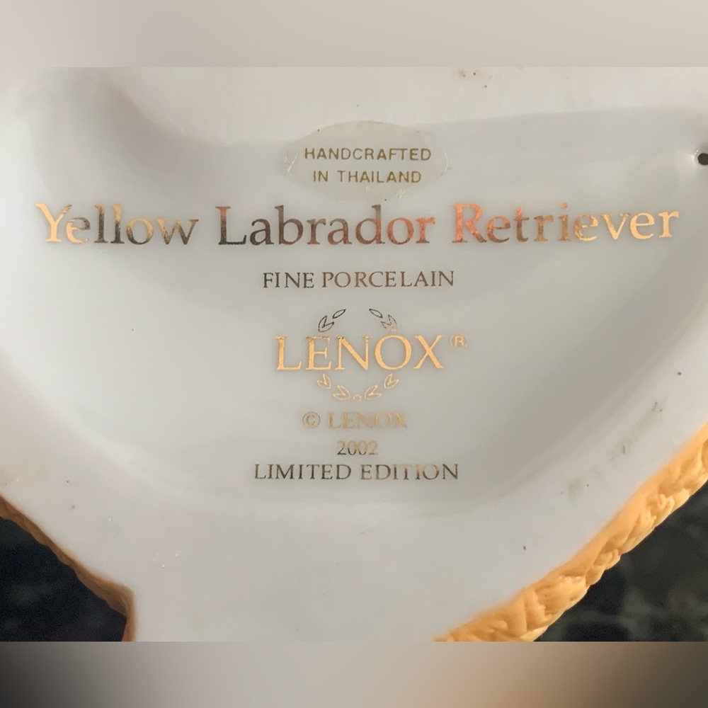Lenox Yellow Labrador Retriever - Picture 14 of 14